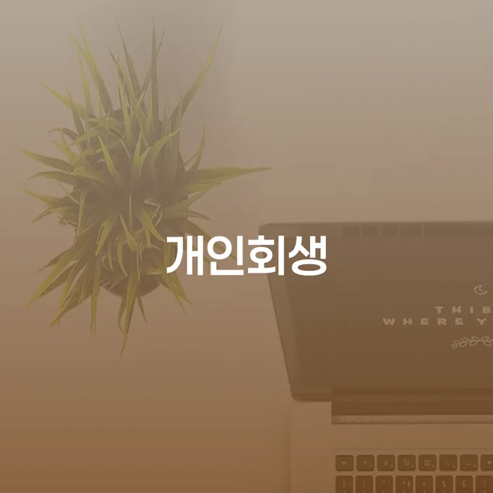 개인사업자개인회생 개인파산 살펴보세요