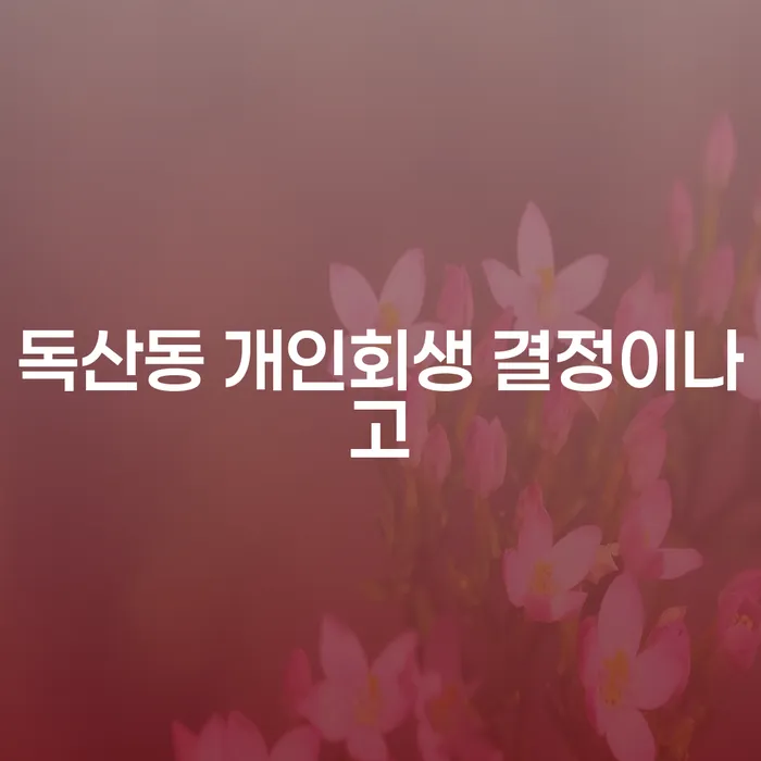 독산동 개인회생 결정이나고
