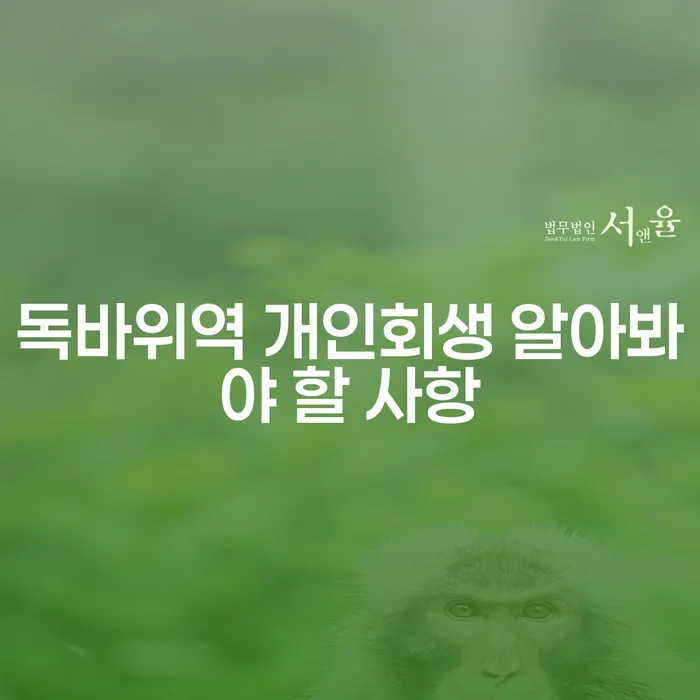 독바위역 개인회생 알아봐야 할 사항
