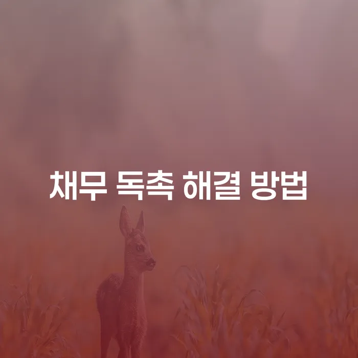 채무 독촉 해결 방법: 어떻게 시작해야 할까요?