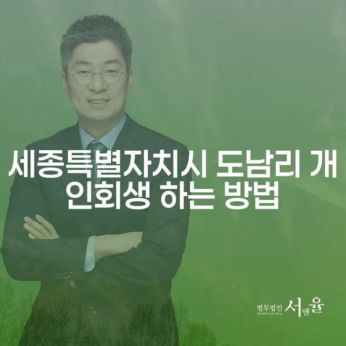 세종특별자치시 도남리에서 개인회생을 시작하는 방법은 무엇일까요?