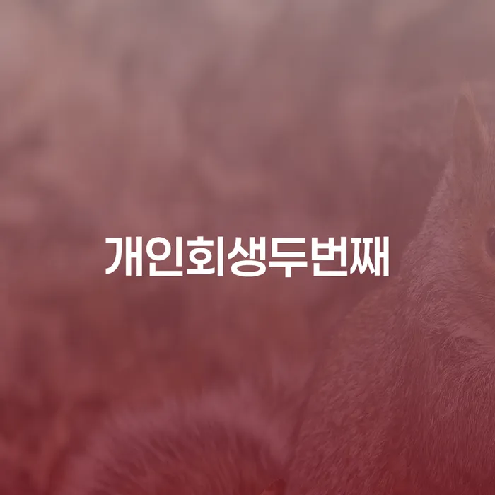 개인회생 두번째 신청, 어떻게 준비해야 할까요?
